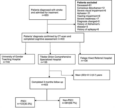 Early post-stroke cognitive impairment and in-hospital predicting factors among stroke survivors in Ethiopia